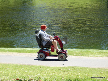 fauteuil